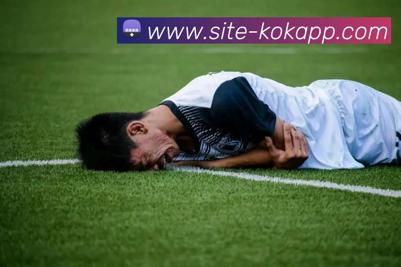 KOK体育APP 封面图