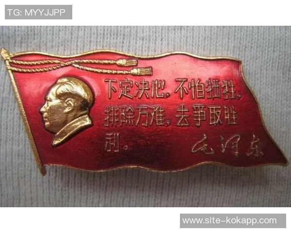 金杯闪耀激情与坚持汇聚成力量我们誓言奋战到底争取胜利